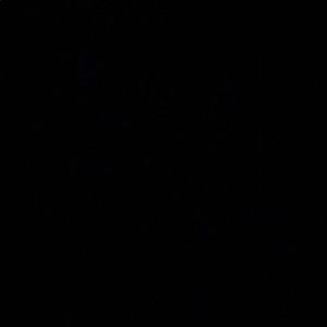 Meet your Posher, Gillian